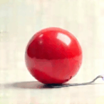 Der Ball kann rollen!