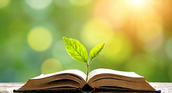 Die besten 8 Tipps bei der Förderung junger Talente